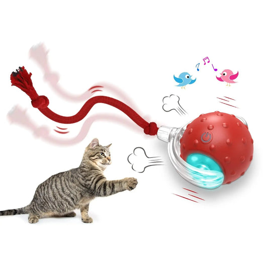 Bouncetug Play Ball – SALE✨